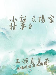 小说《杨家洼的情事》