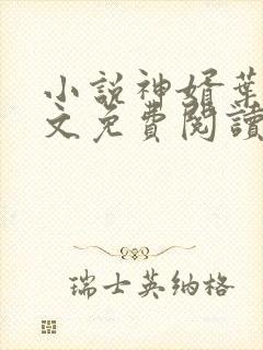 小说神婿叶凡全文免费阅读