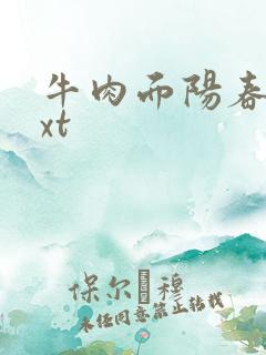 牛肉面阳春面txt