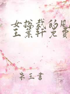 女总裁的风流兵王叶轩免费阅读