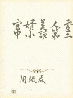 官婿美人香刘志中小说第三章