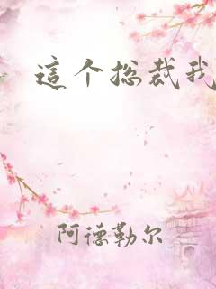 这个总裁我要了