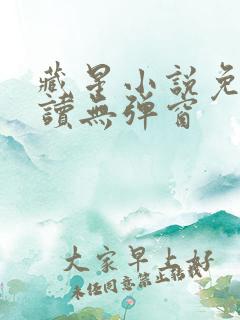 藏星小说免费阅读无弹窗