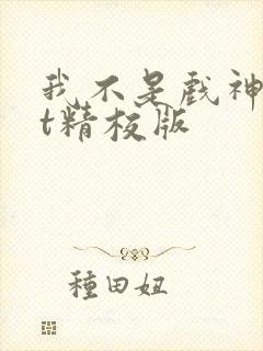 我不是戏神txt精校版