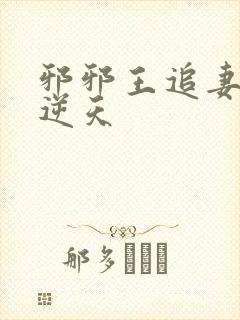 邪邪王追妻废材逆天