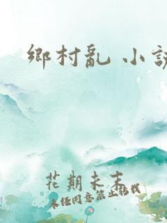 乡村乱 小说