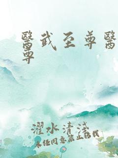 医武至尊医武至尊
