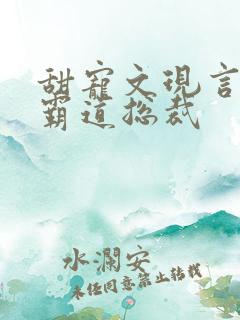 甜宠文现言推荐霸道总裁