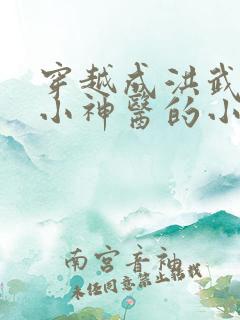 穿越成洪武年间小神医的小说