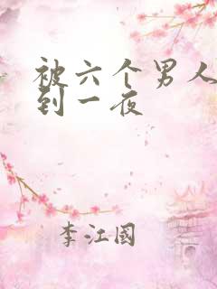 被六个男人躁J到一夜