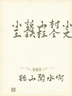 小说山村小神医王铁柱全文免费费阅读读