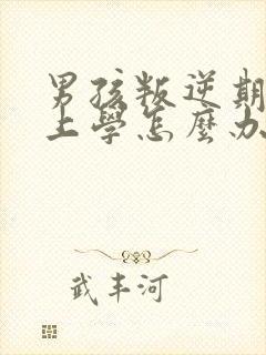男孩叛逆期不想上学怎么办