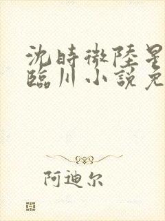 沈时微陆星沉季临川小说免费阅读