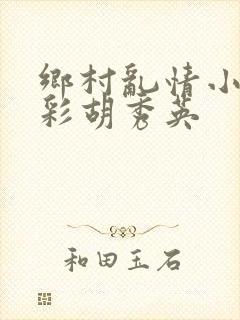乡村乱情小雷小彩胡秀英