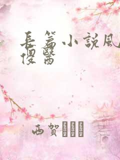 长篇小说风流小傻医