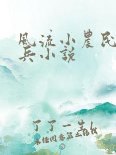 风流小农民王小兵小说