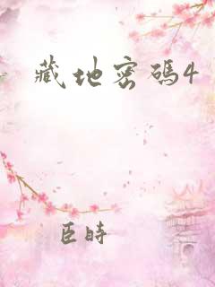 藏地密码4