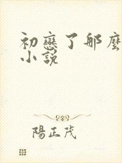 初恋了那么多年小说