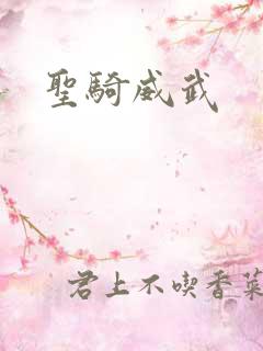 圣骑威武