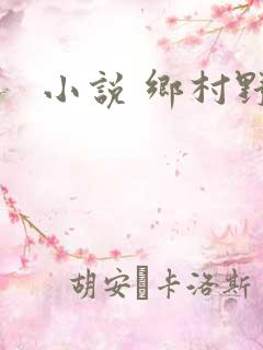 小说 乡村野事