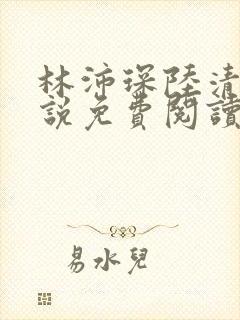 林沛琛陆清婉小说免费阅读