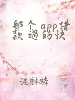 那个 app借款 过的快