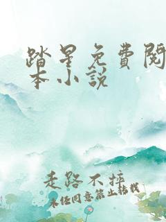 踏星免费阅读全本小说