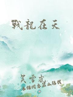 战龙在天