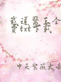 武道医王全本免费txt下载