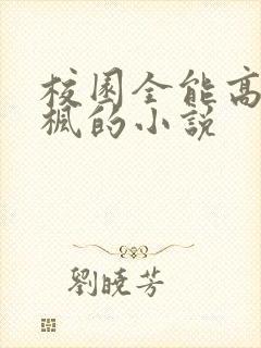 校园全能高手季枫的小说