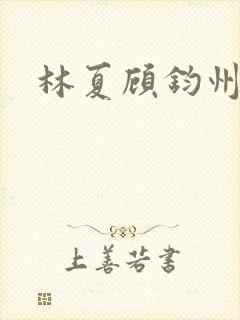 林夏顾钧州小说