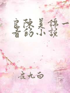 良陈美锦一样好看的小说