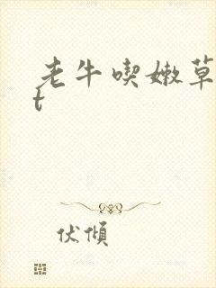 老牛吃嫩草txt