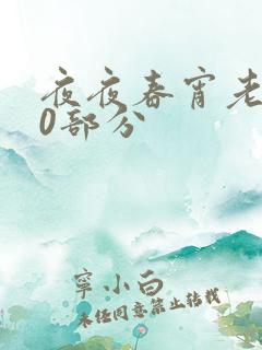 夜夜春宵老扒40部分