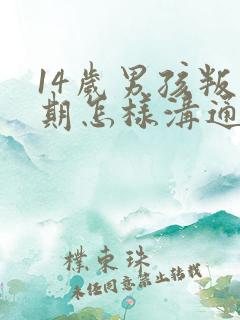 14岁男孩叛逆期怎样沟通