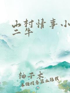 山村情事小说林二牛