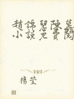 赵锦儿陈慕修的小说免费阅读
