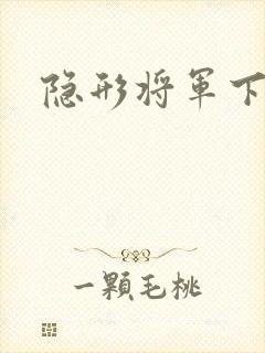 隐形将军下载