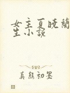 女主夏晓兰的重生小说