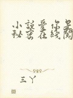 小说爱你是绝对秘密在线阅读
