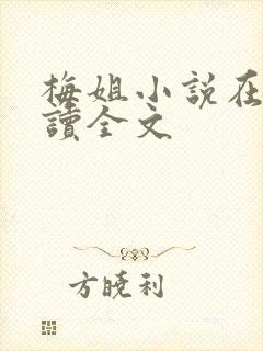 梅姐小说在线阅读全文