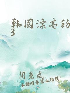 韩国漂亮的嫂子3