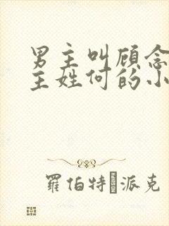 男主叫顾念西女主姓何的小说