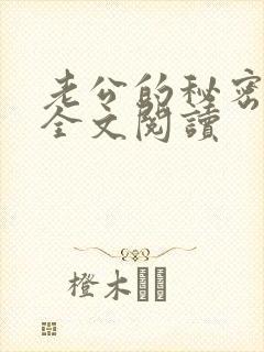 老公的秘密小说全文阅读