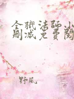 全职法师小说无删减免费阅读
