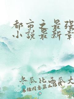 都市之最强仙医小说最新章节阅读全文