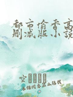 都市偷香高手无删减版小说