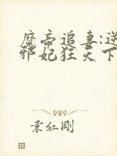 魔帝追妻:逆天邪妃狂天下