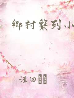 乡村系列小说