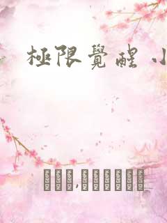 极限觉醒 小说